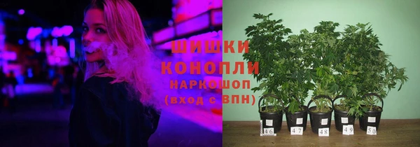 ГАЛЛЮЦИНОГЕННЫЕ ГРИБЫ Алексеевка