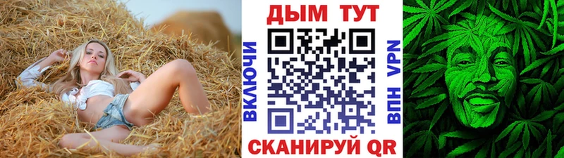 MEGA ТОР Пролетарск Каннабис индика